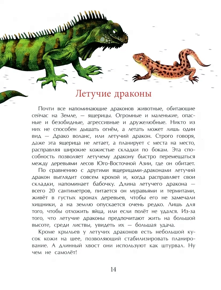 Драконы