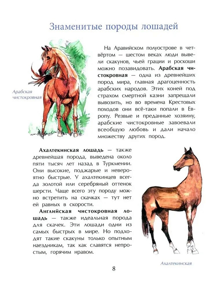 Кони. Дикие, благородные, знаменитые