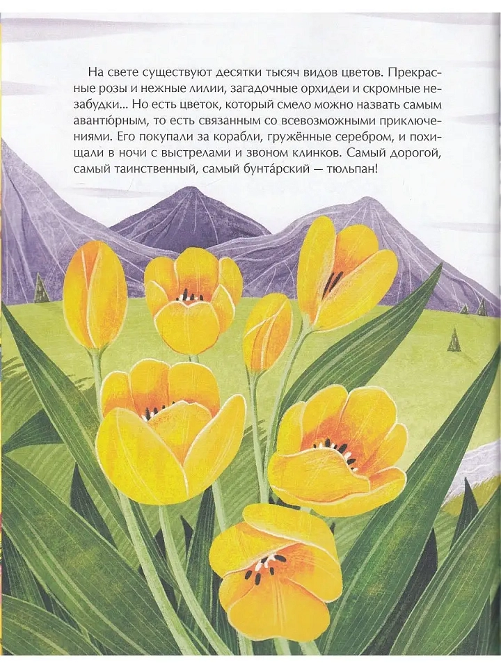 Тюльпан. Цветок султанов и мельников