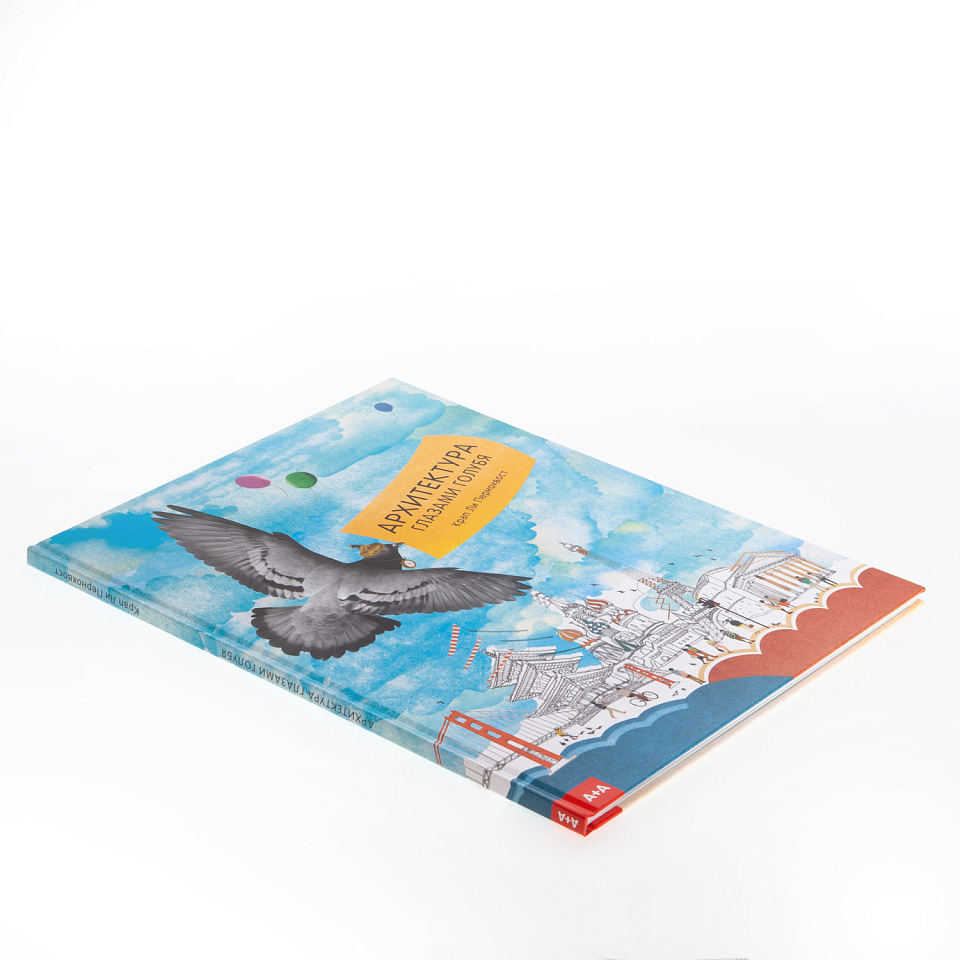 Архитектура глазами голубя