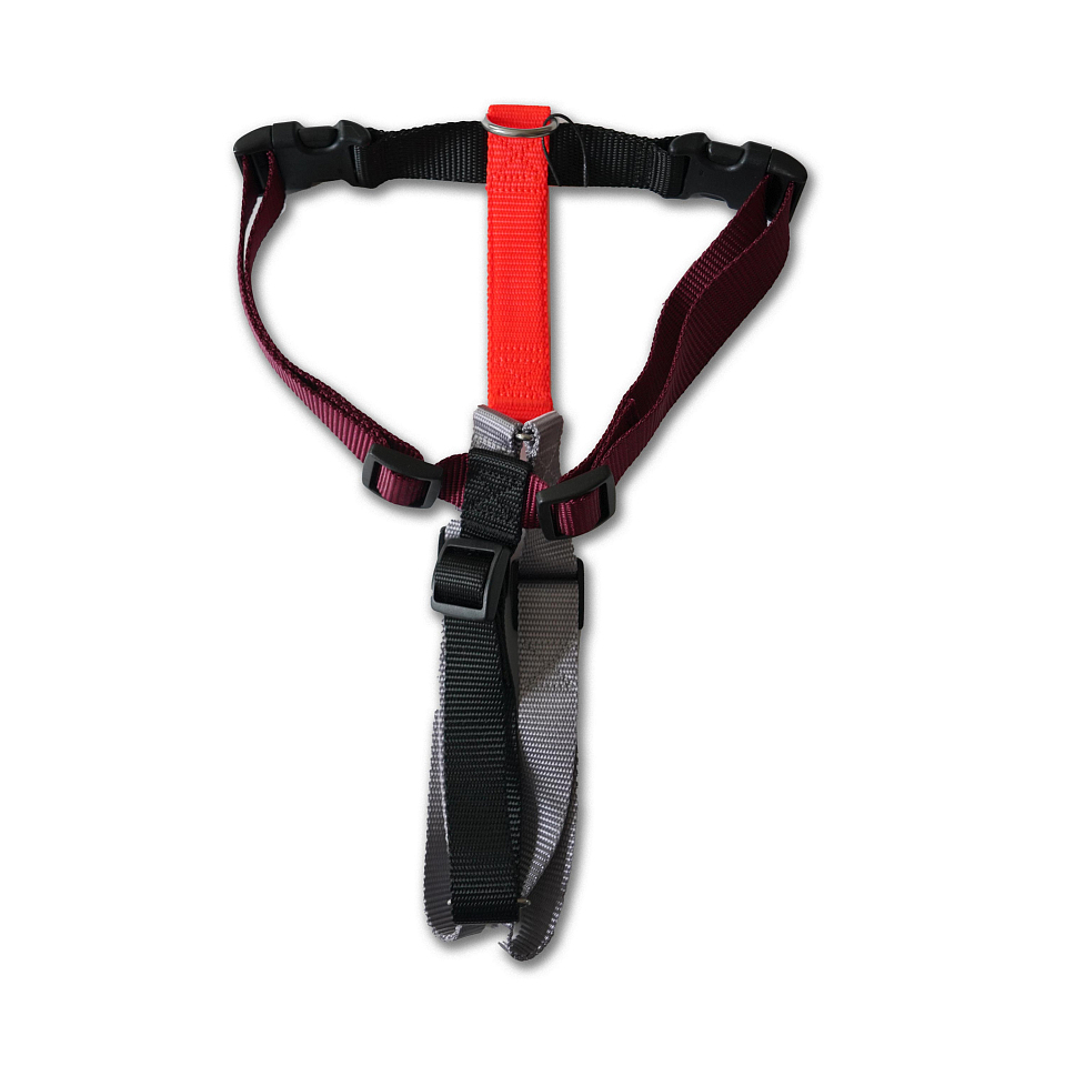 Шлейка для собак «Архи-пес». Размер SSH25